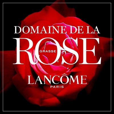 Rose Rouge